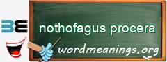 WordMeaning blackboard for nothofagus procera